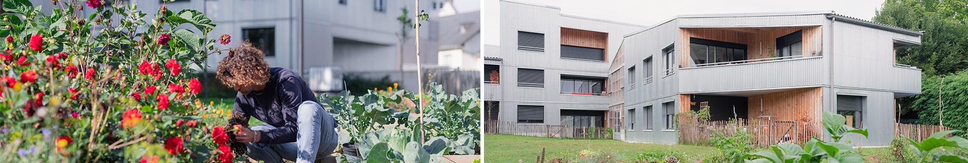 L'habitat inclusif